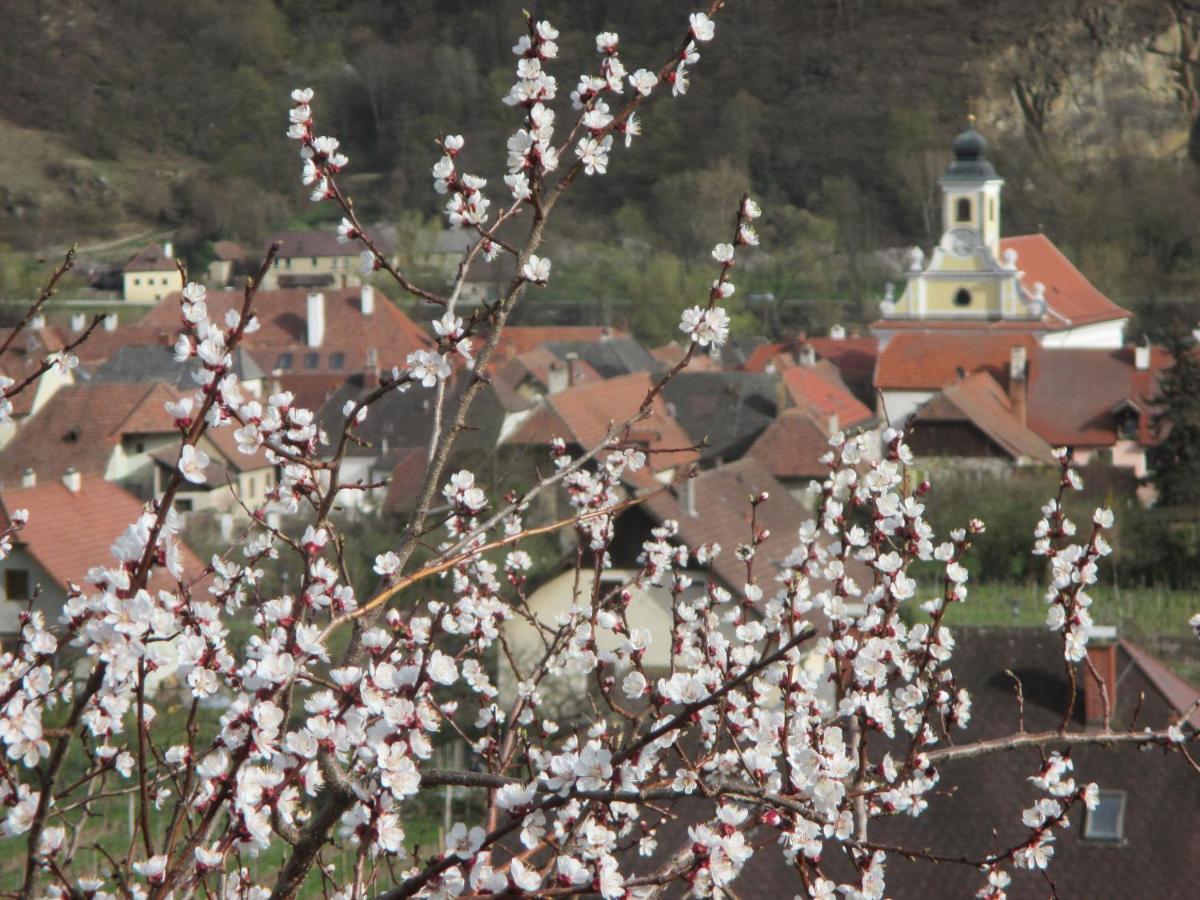 Gaestehaus Rudolf U. Sandra Denk Wosendorf in der Wachau Exterior photo